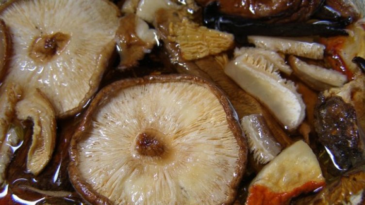 Снимка: pixabay