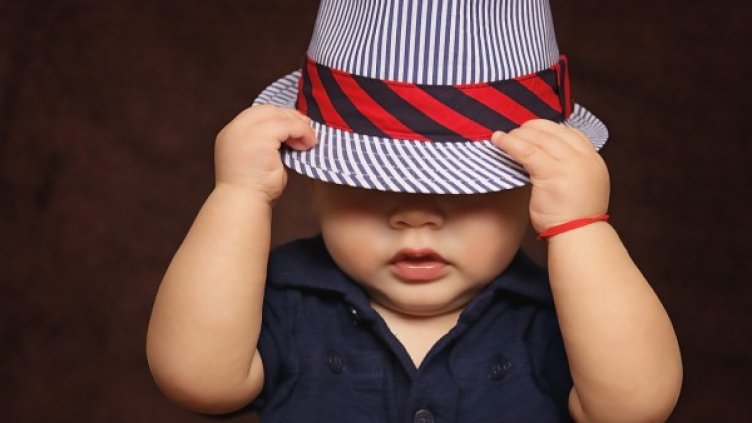 Снимка: pixabay