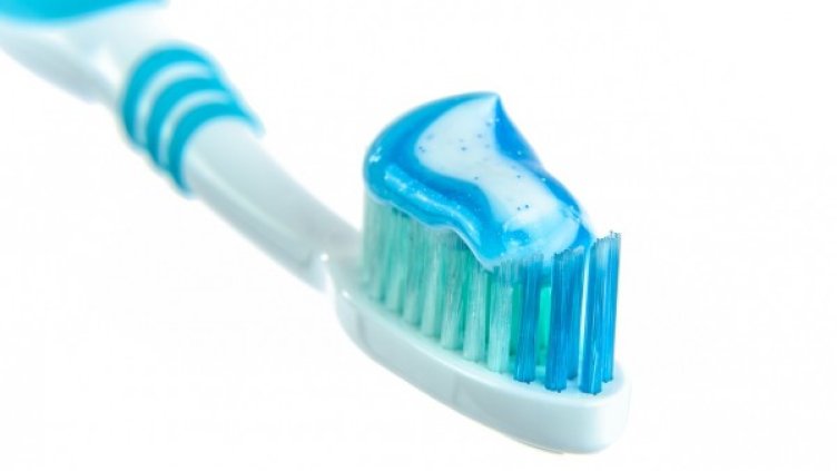 Снимка: pixabay