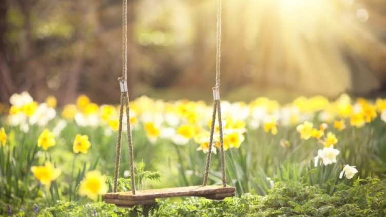 Снимка: flickr