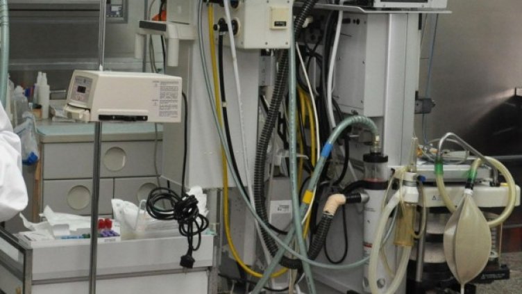 Снимка: архив, БулФото