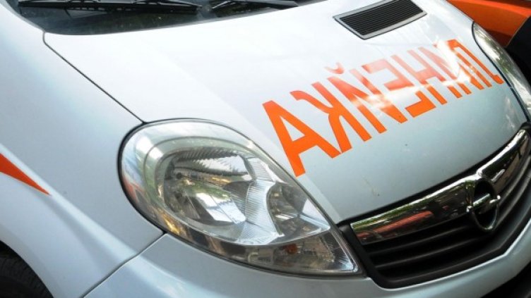 Снимка: Архив, Булфото