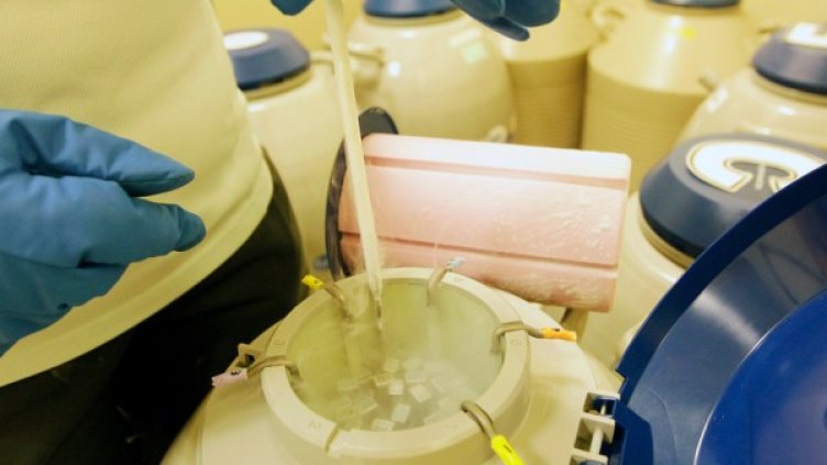 Снимка: архив, Reuters