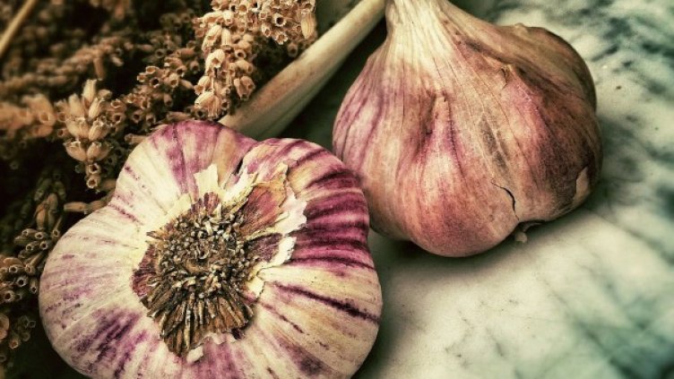 Снимка: pixabay