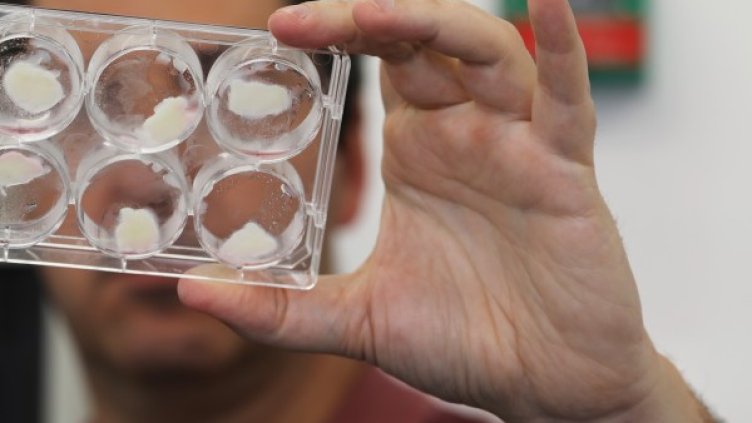 Снимка: архив Reuters