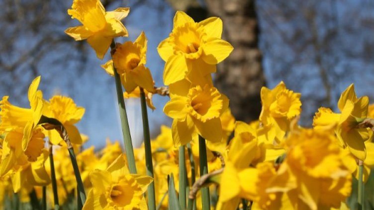 Снимка: архив, Reuters