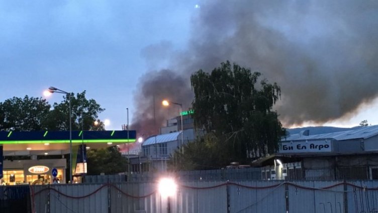 Снимка: Dnes.bg