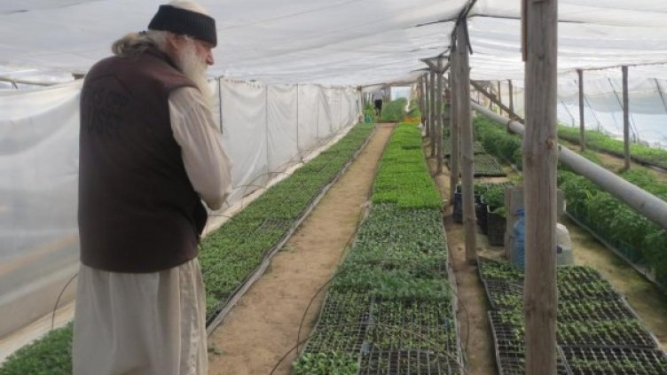 Снимка: "Монитор"