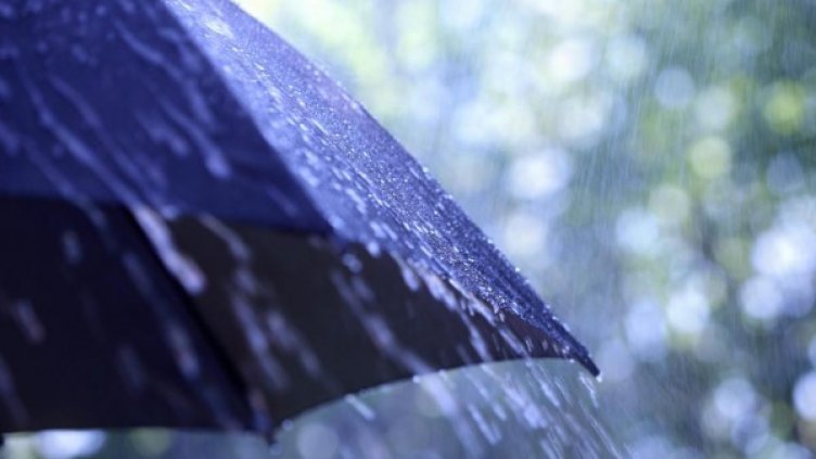 Снимка: flickr