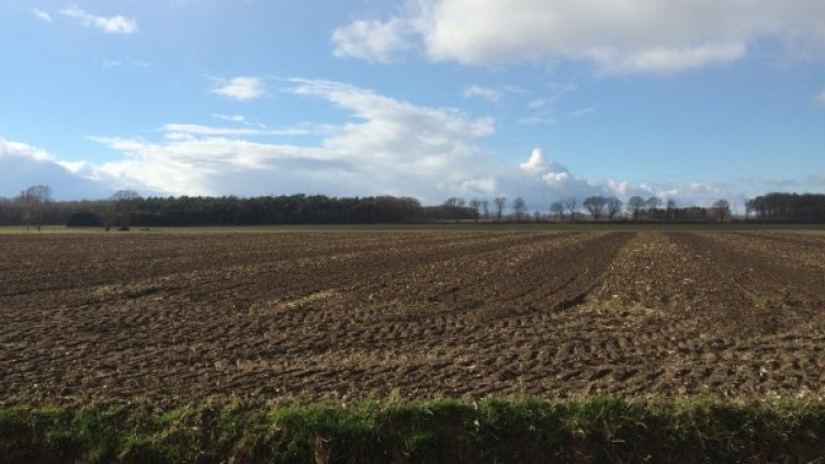 Собственици продават земи, за да посрещнат неотложни разходи    