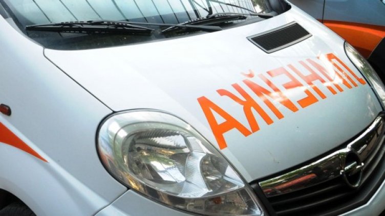 Снимка: Архив, Булфото