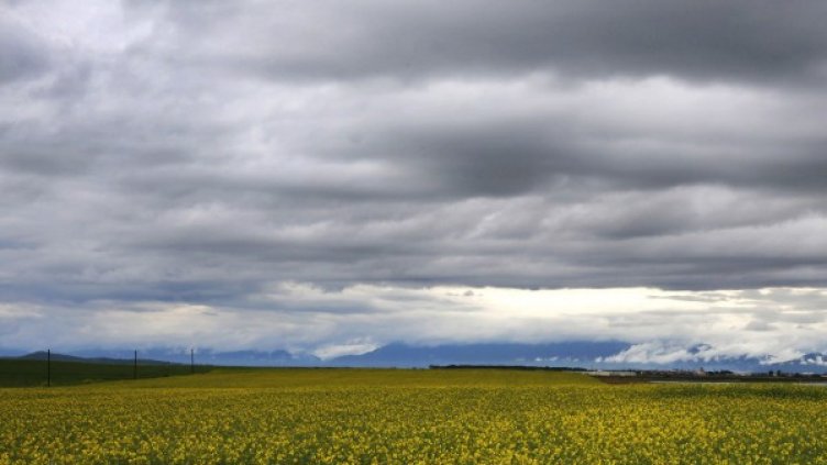 Снимка: Архив, Reuters