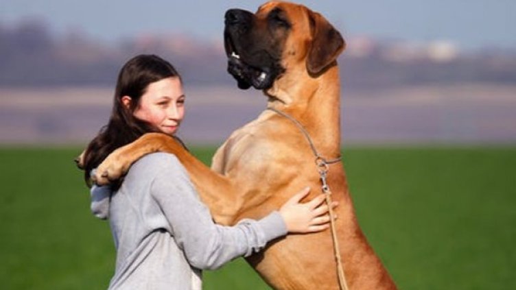 Снимка: pexels.com