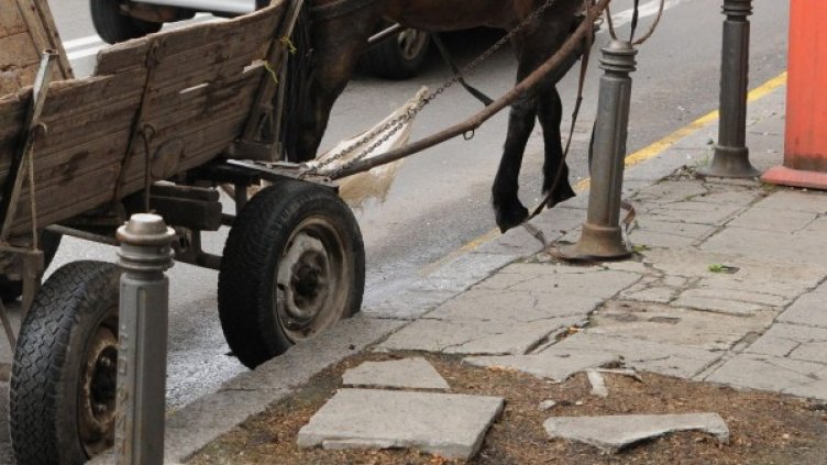 Снимка: Булфото, архив