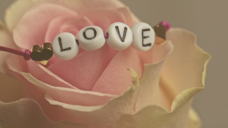 Снимка: pixabay