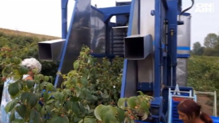 Снимка: Bulgaria ON AIR