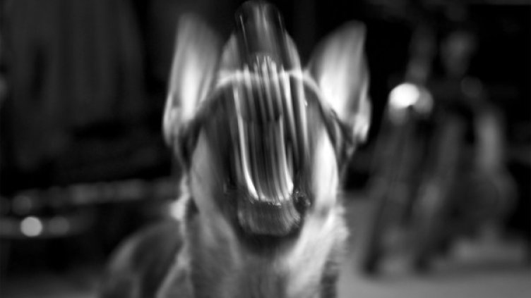 Снимка: visualhunt.com