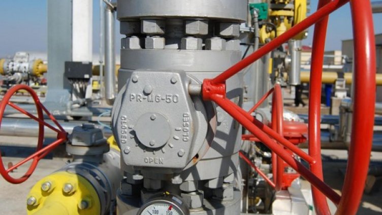 Снимка: архив, БулФото