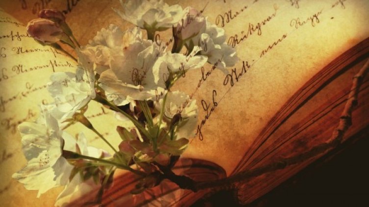 Снимка: pixabay