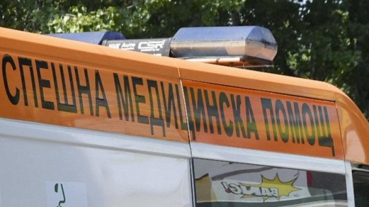 Снимка: архив, Булфото