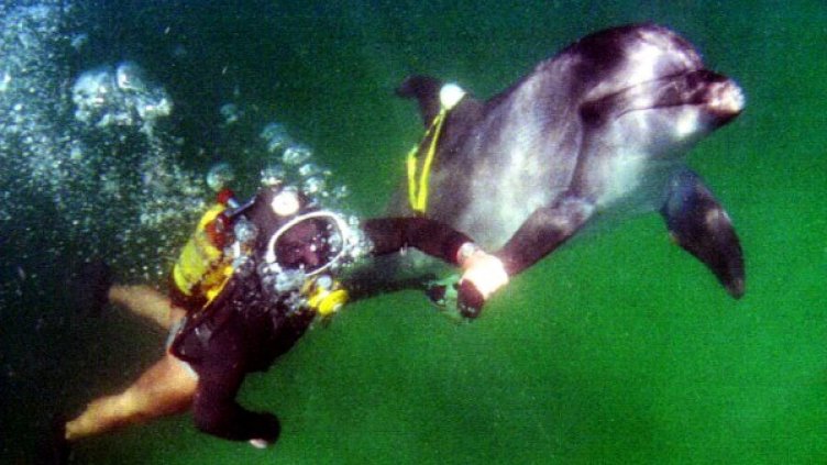 Снимка: архив, Reuters