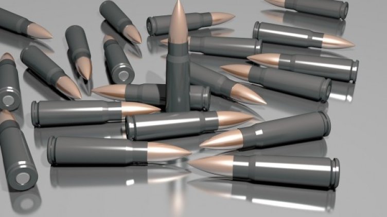 снимка: Pixabay