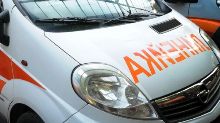 Снимка: Архив, Булфото