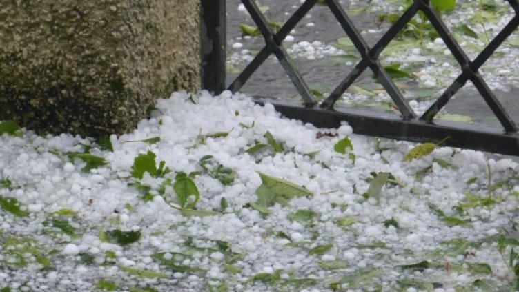 Снимка: Pixabay