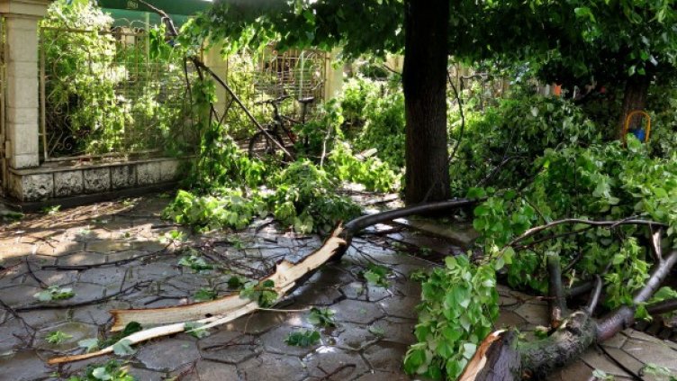 Снимка: Булфото