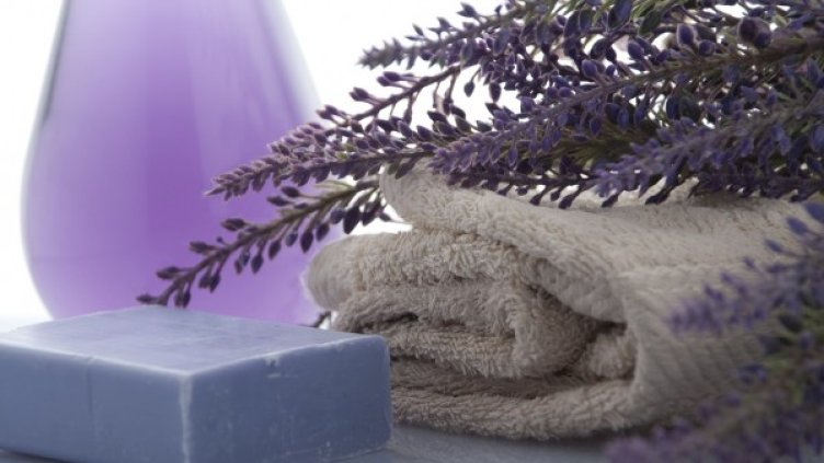 Снимка: Pixabay