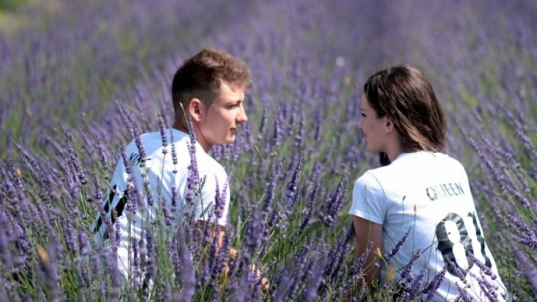 Снимка: pixabay