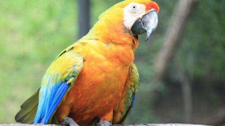 Снимка: pixabay.com