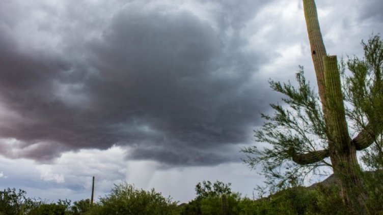 Снимка: Visualhunt