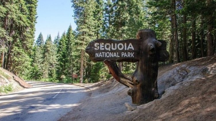 Снимка: BG VOICE