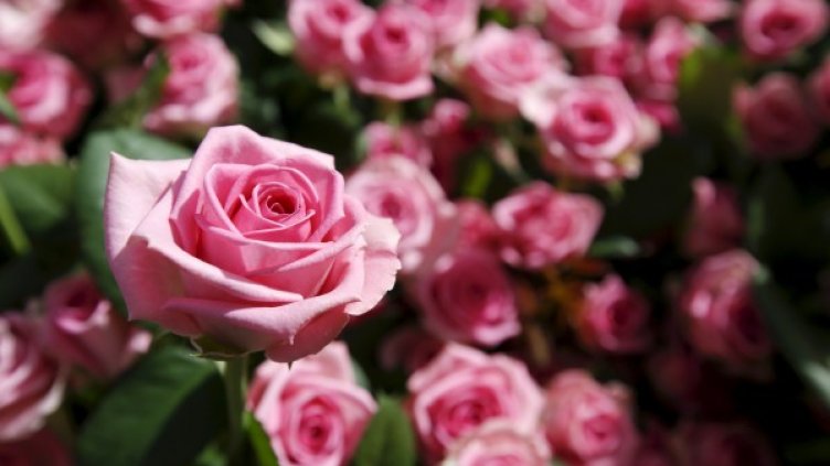 Снимка: архив, Ройтерс