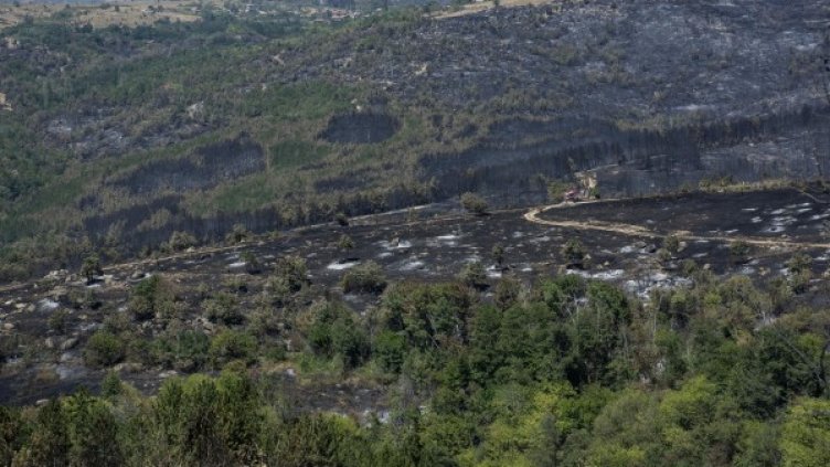 Архив: Булфото