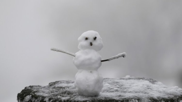 Снимка: Reuters, архив