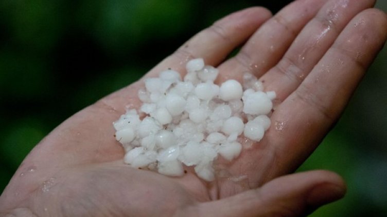 Снимка: Булфото, архив