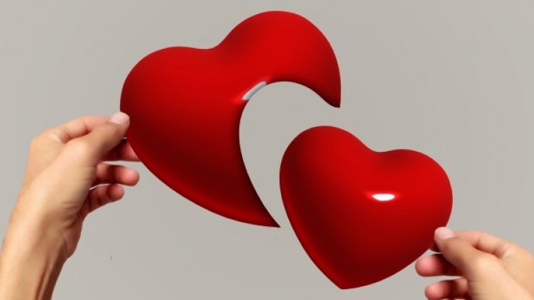 Снимка: Pixabay