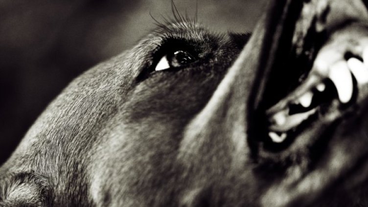 Снимка: visualhunt.com