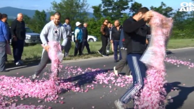 Снимка: Bulgaria ON AIR