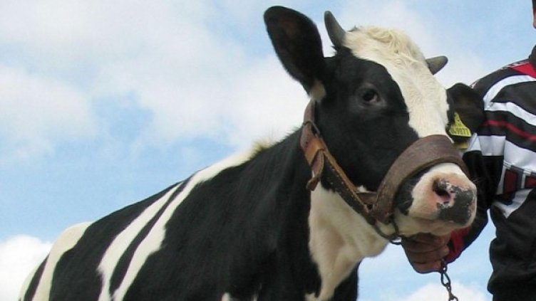 Родните фермери може да почерпят чужд опит. Снимка: архив, БулФото