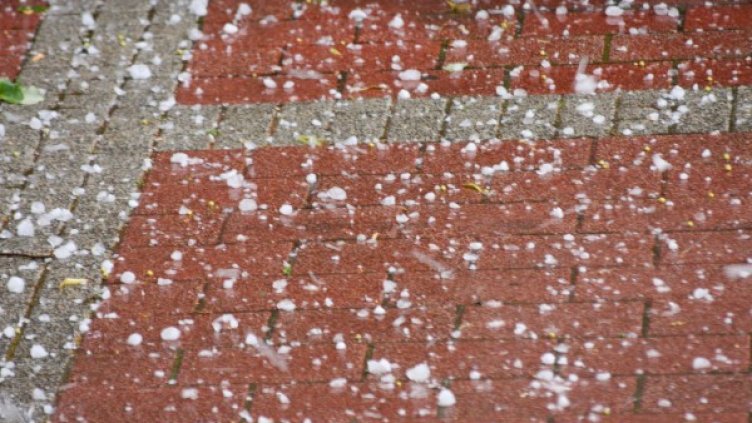 Снимка: Архив, Булфото