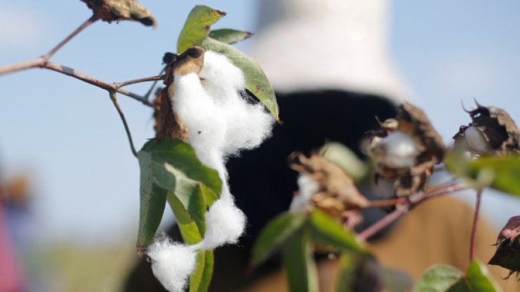 Снимка: архив, Reuters