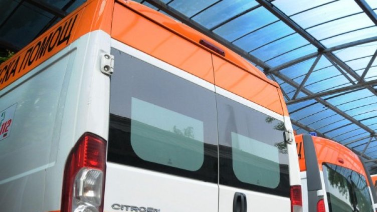 Снимка: Архив, Булфото