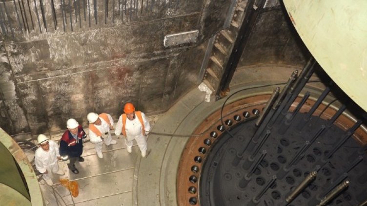 Снимка: Pixabay