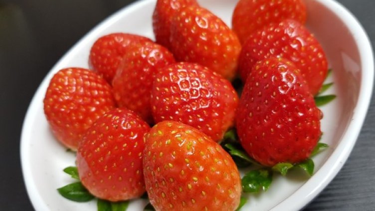 Снимка: pixabay