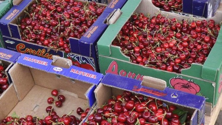 Снимка: Булфото, архив