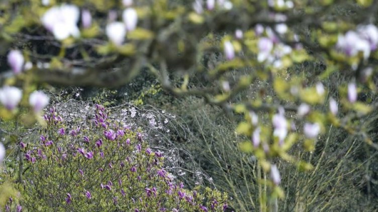 Снимка: Reuters, архив