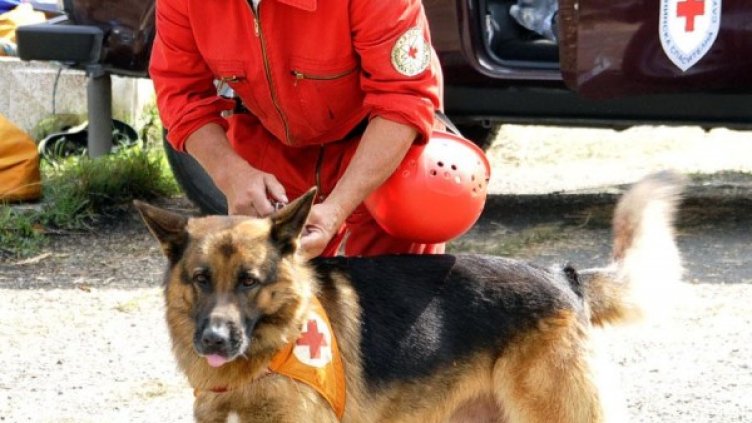 Снимка: архив, БулФото